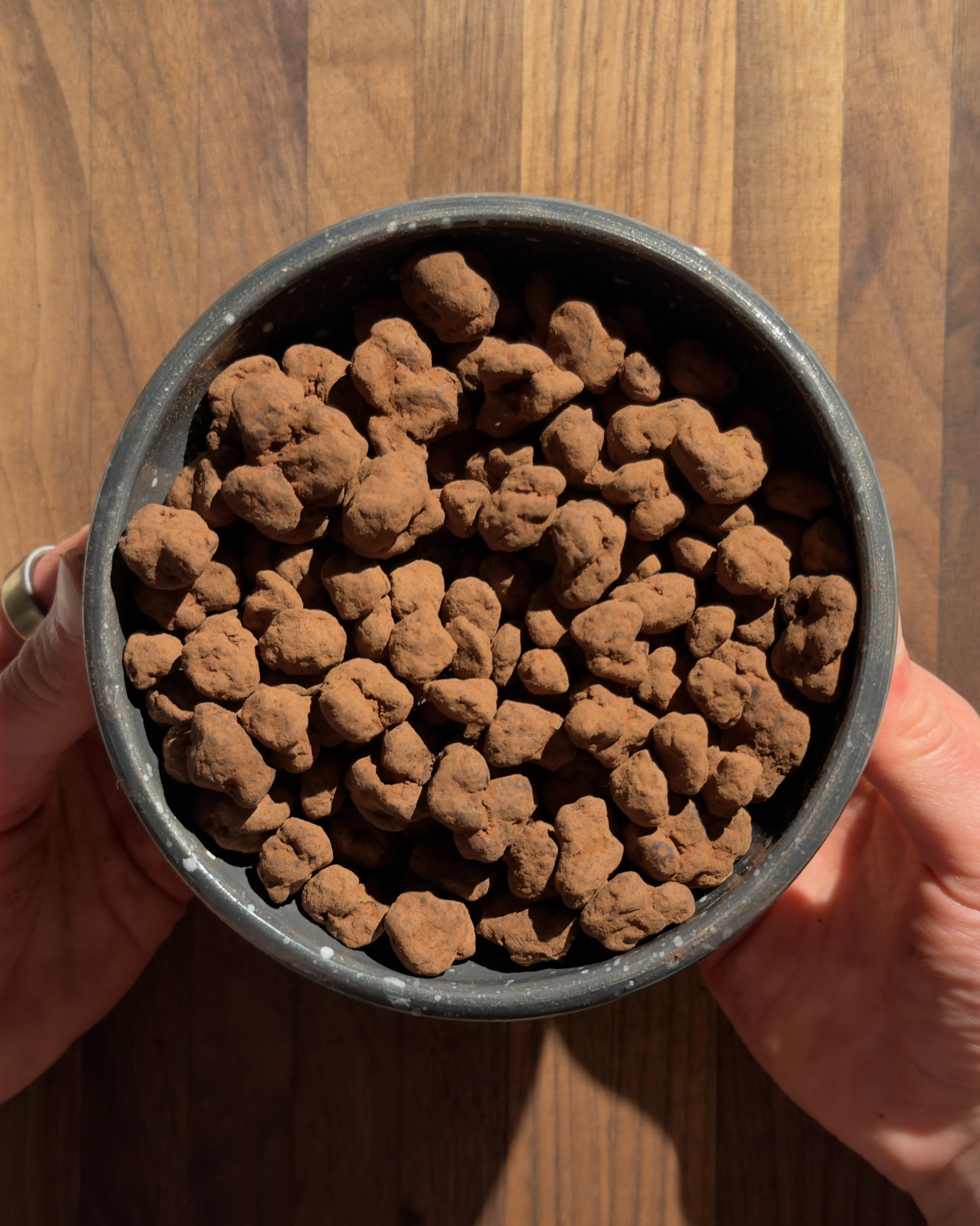 chocolate-covered-espresso-beans