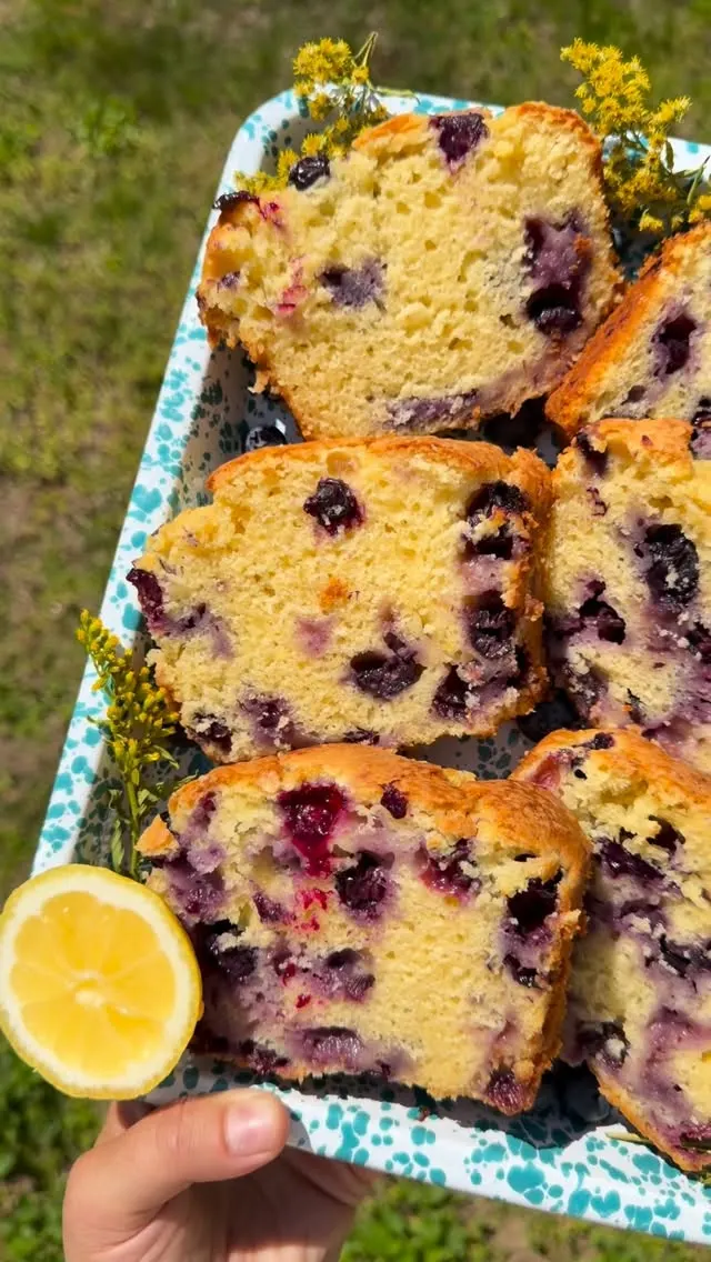 (one-bowl)-lemon-blueberry-loaf