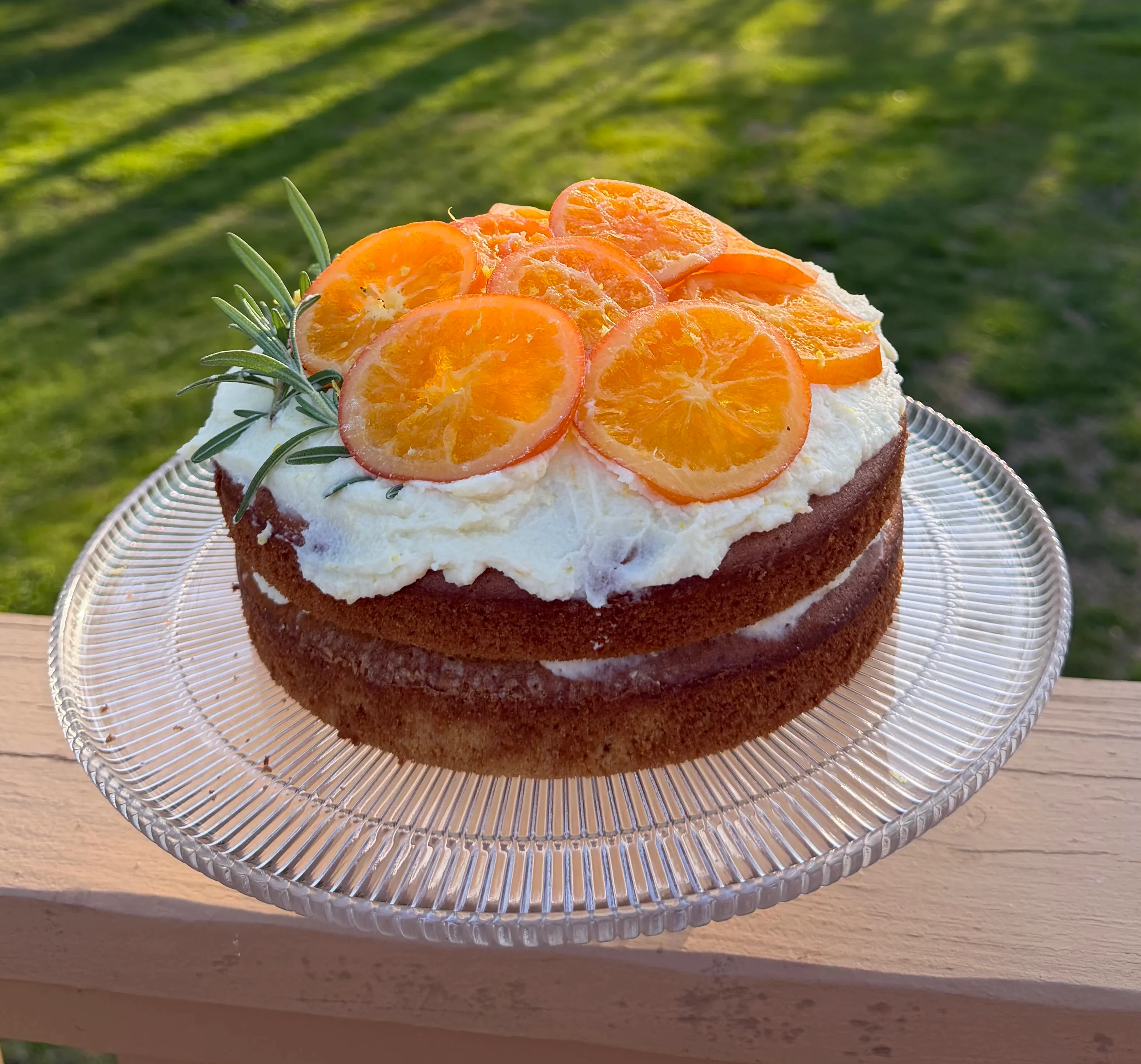 citrus-olive-oil-cake