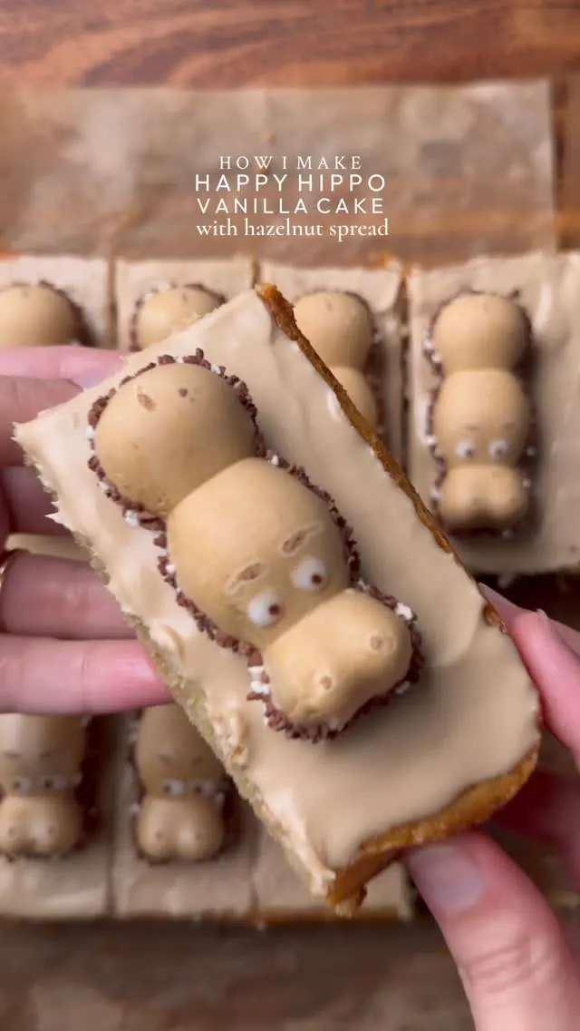 happy-hippo-vanilla-cake-with-hazelnut-spread