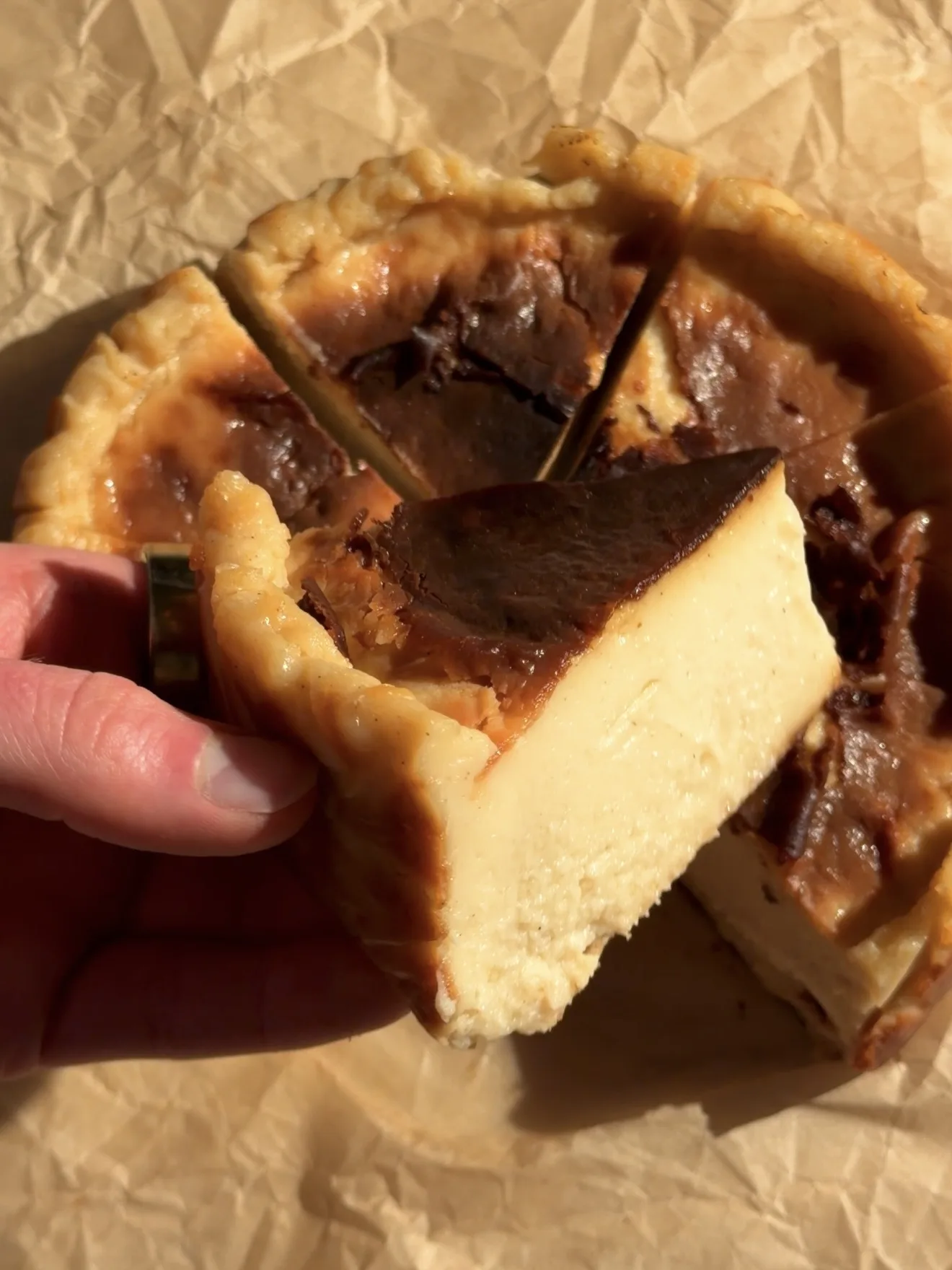 the-best-vegan-burnt-basque-cheesecake