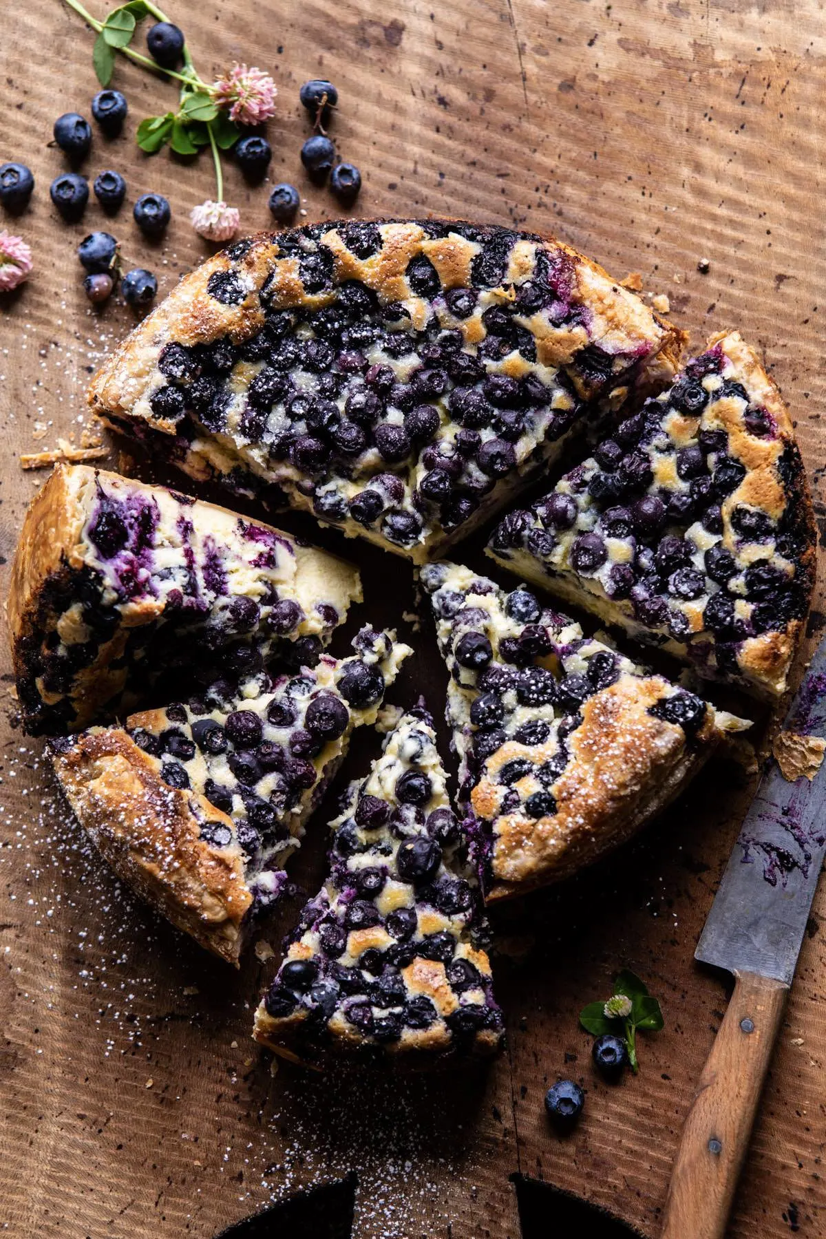 simple-blueberry-basque-cheesecake
