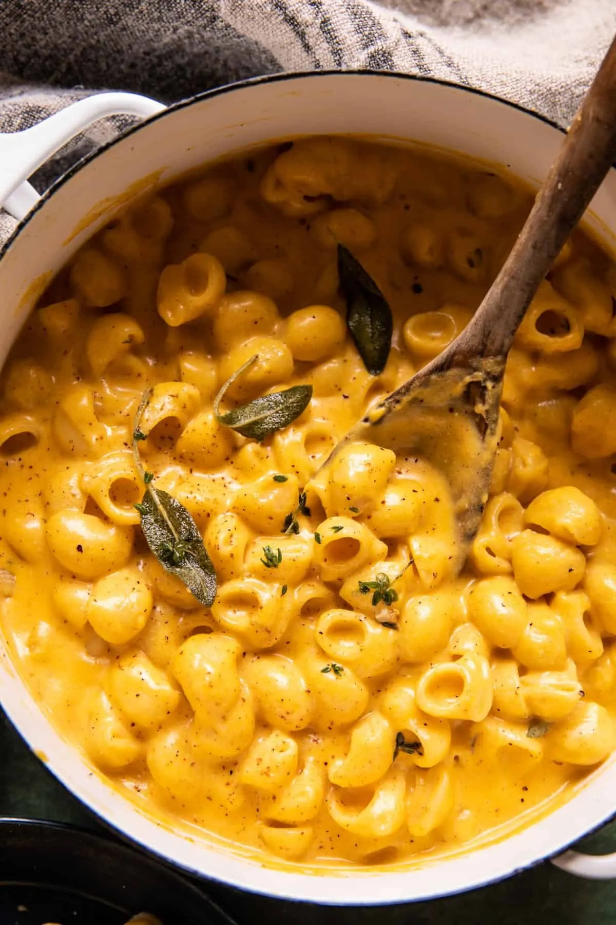 one-pot-stove-top-pumpkin-mac-and-cheese