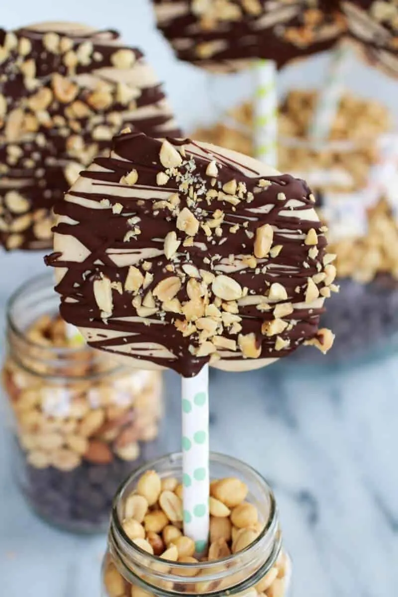 peanut-butter-banana-frozen-yogurt-pops-with-chocolate-drizzle