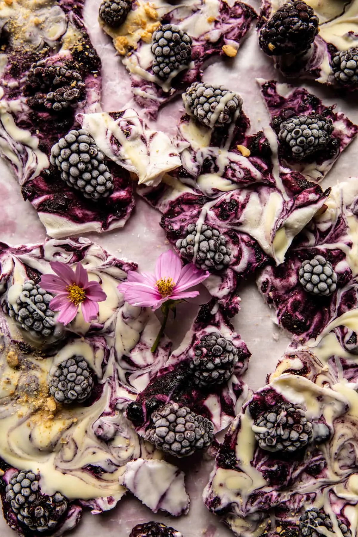 6-ingredient-frozen-blackberry-yogurt-bark