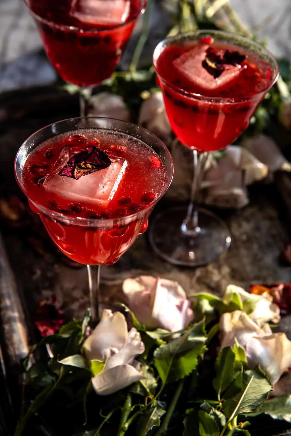 the-dark-rose