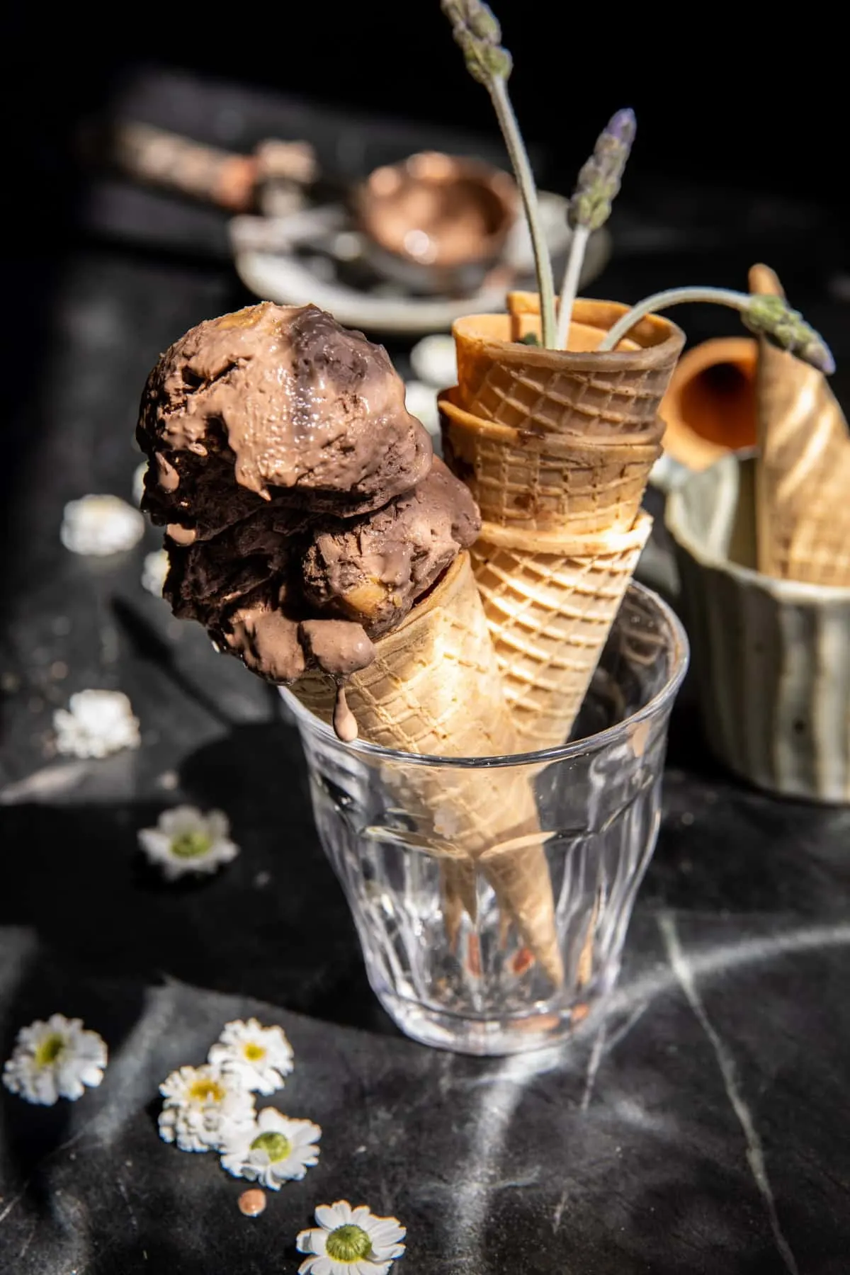 blender-chocolate-peanut-butter-ice-cream