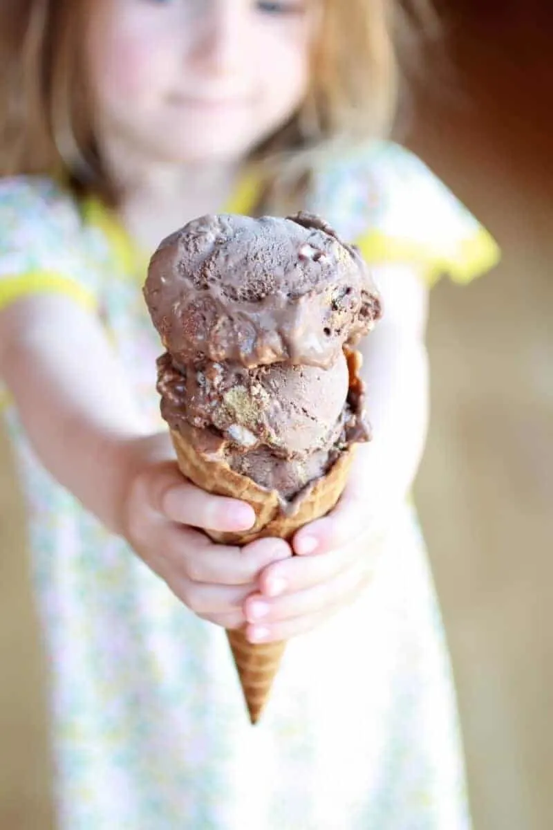 toasted-s'more-chocolate-fudge-ice-cream.