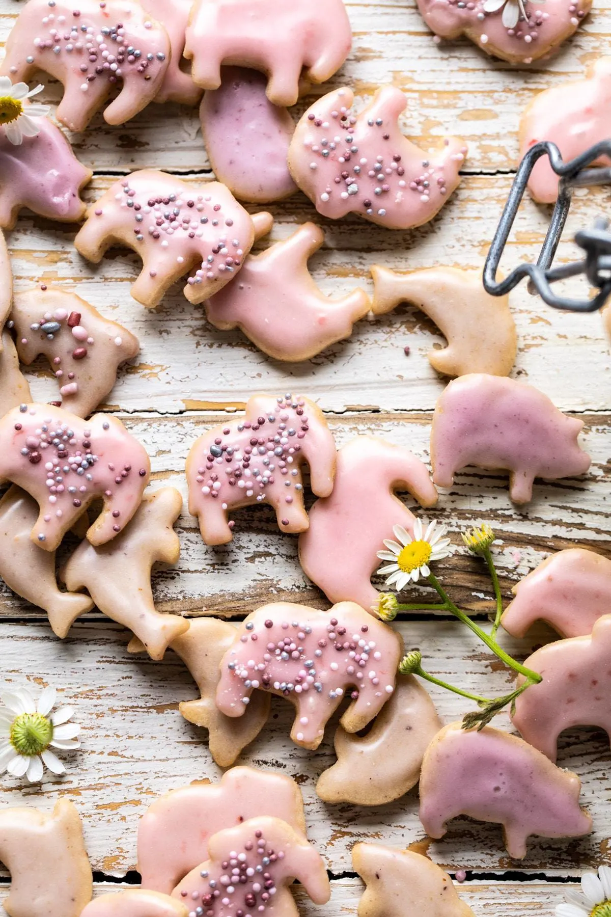 homemade-animal-crackers