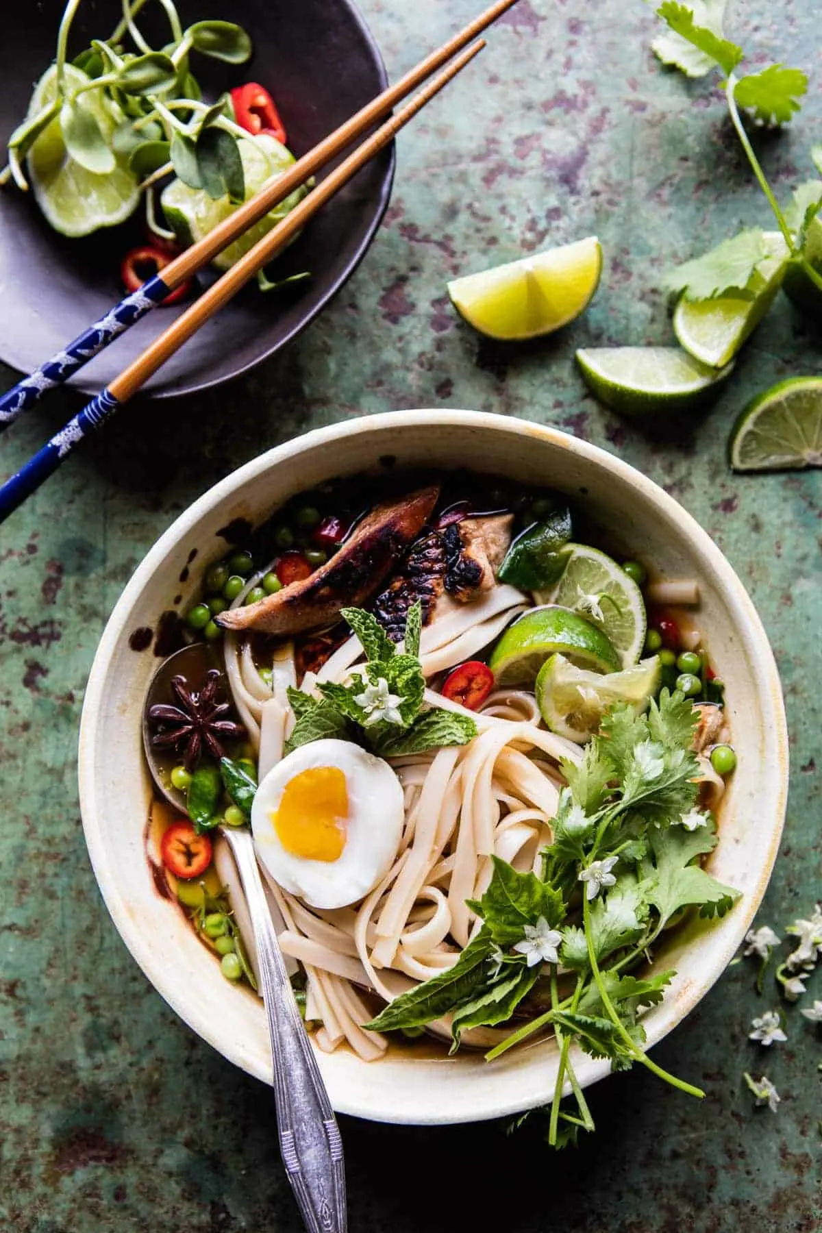 springtime-chicken-noodle-soup