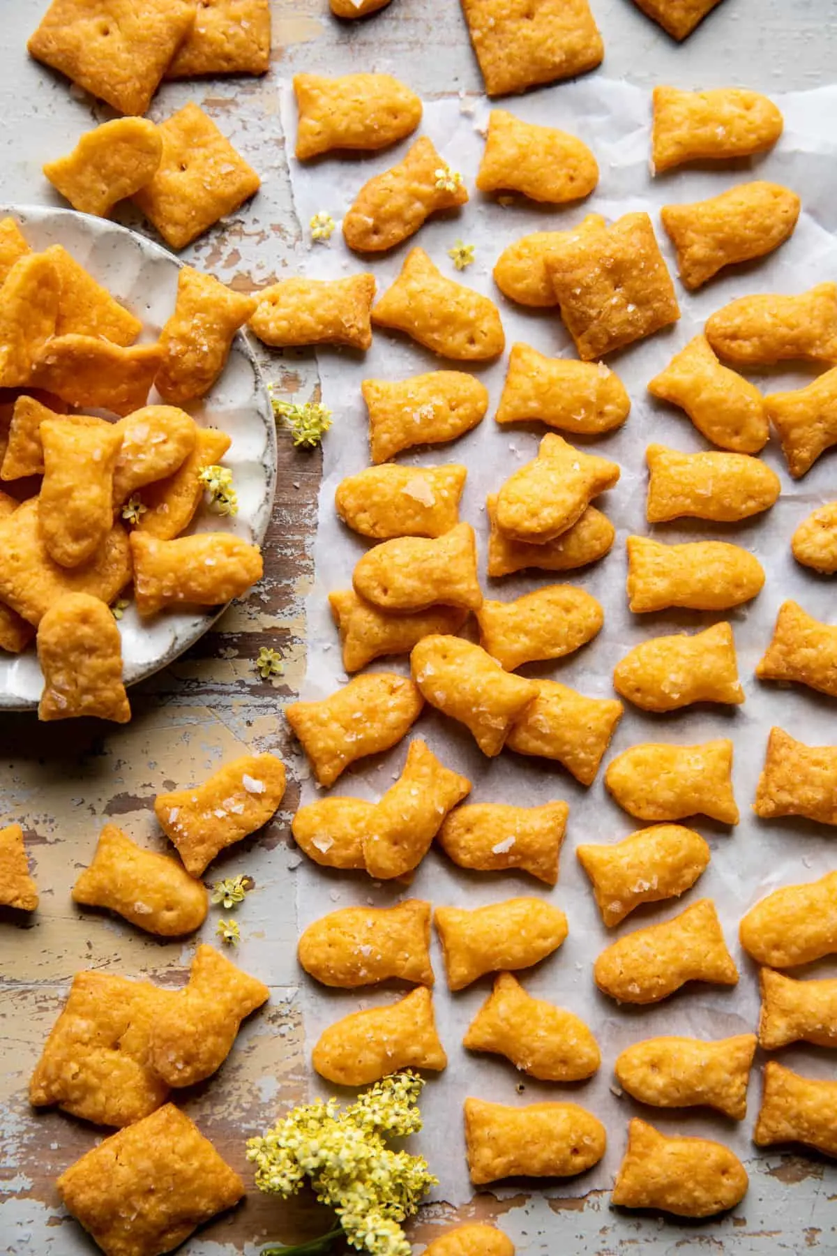 homemade-goldfish