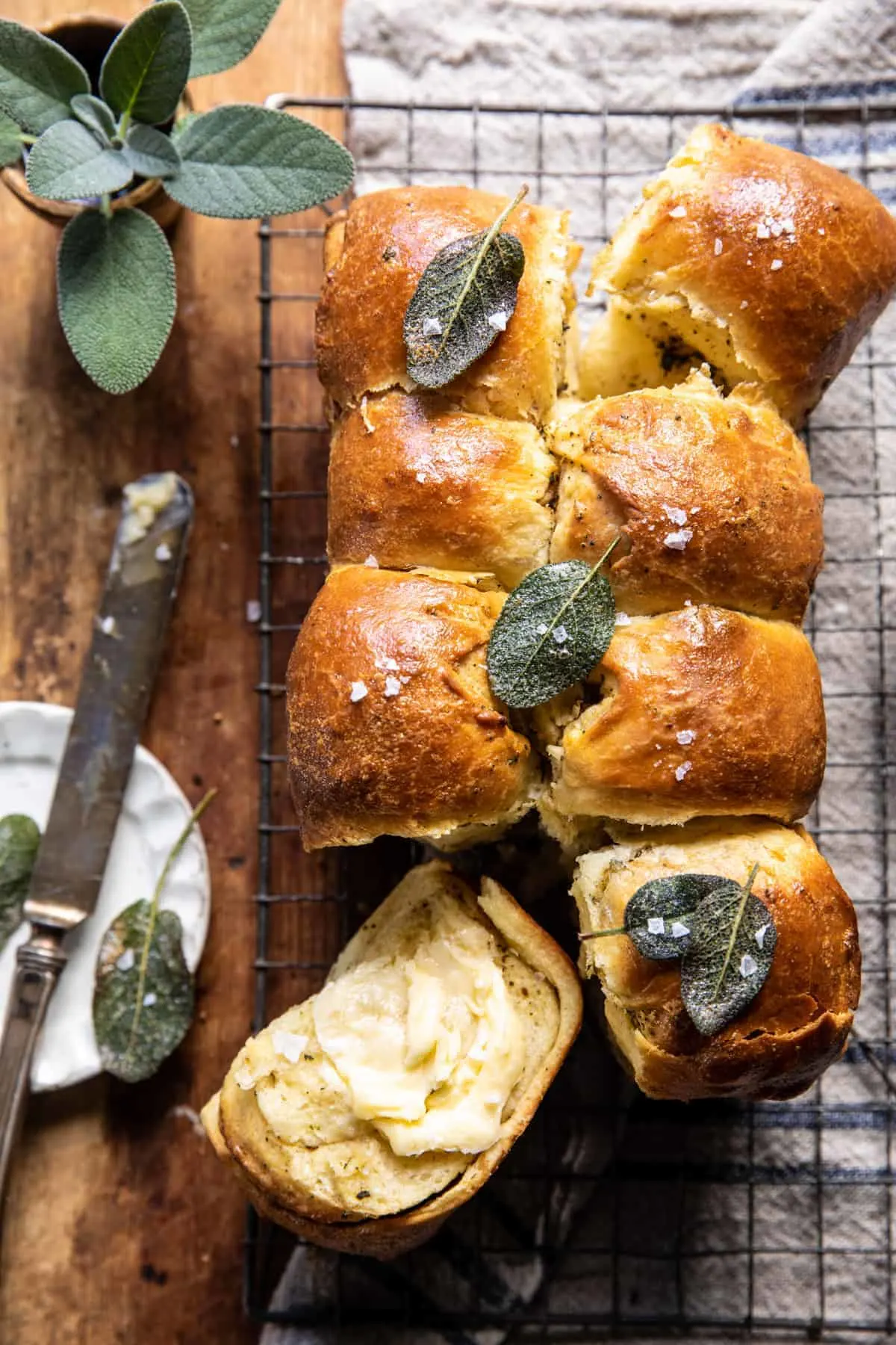 pull-apart-parmesan-sage-butter-brioche-rolls