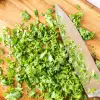 cilantro, finely chopped