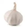 garlic, minced