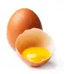 large egg yolk