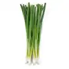 scallions (greens only), finely sliced