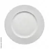 oven  safe plate