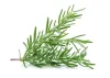 sprigs rosemary, chopped