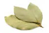 dried bay leaves