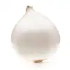 small onion