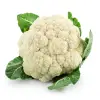 small head cauliflower