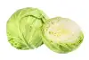 green cabbage, sliced