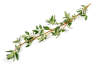 sprigs thyme