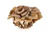 hen of the woods/maitake mushrooms, cut/torn into bite size pieces