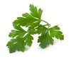 parsley leaves + stems, packed