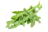 fresh arugula