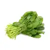 For the Creamed Spinach