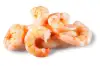 For the Scampi Shrimp