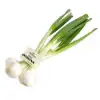 One handful roughly chopped green onions