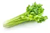 celery ribs