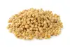 coriander seeds