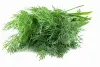 fresh dill, to taste
