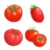 ripe plum tomatoes