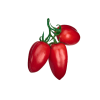 San Marzano tomatoes, pureed