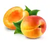 For the Apricots