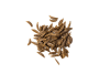 caraway seed