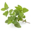 fresh marjoram, chopped (or 1 tsp dried)