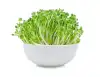 dandelion greens