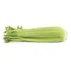 celery stalks, roughly chopped