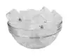 large bowl with ice water