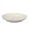 shallow dish