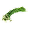 chive stems, packed