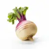 turnip