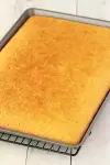 Sponge Cake Sheet