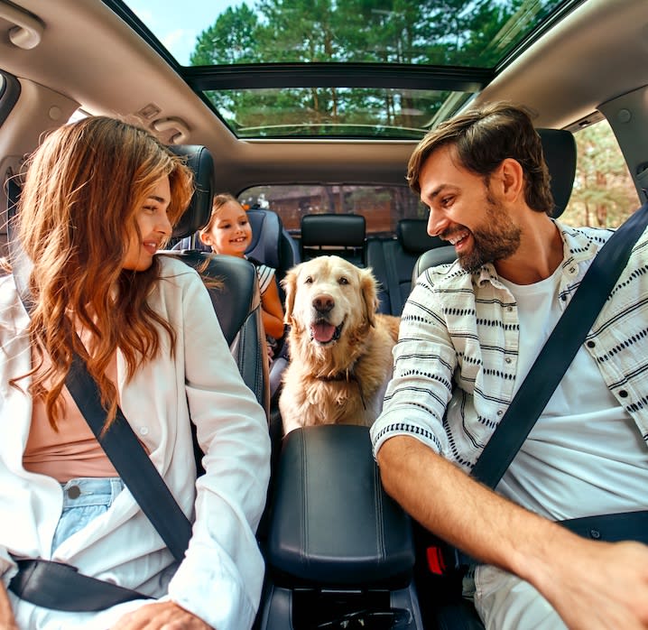 What is a Good Car for Dog Owners?