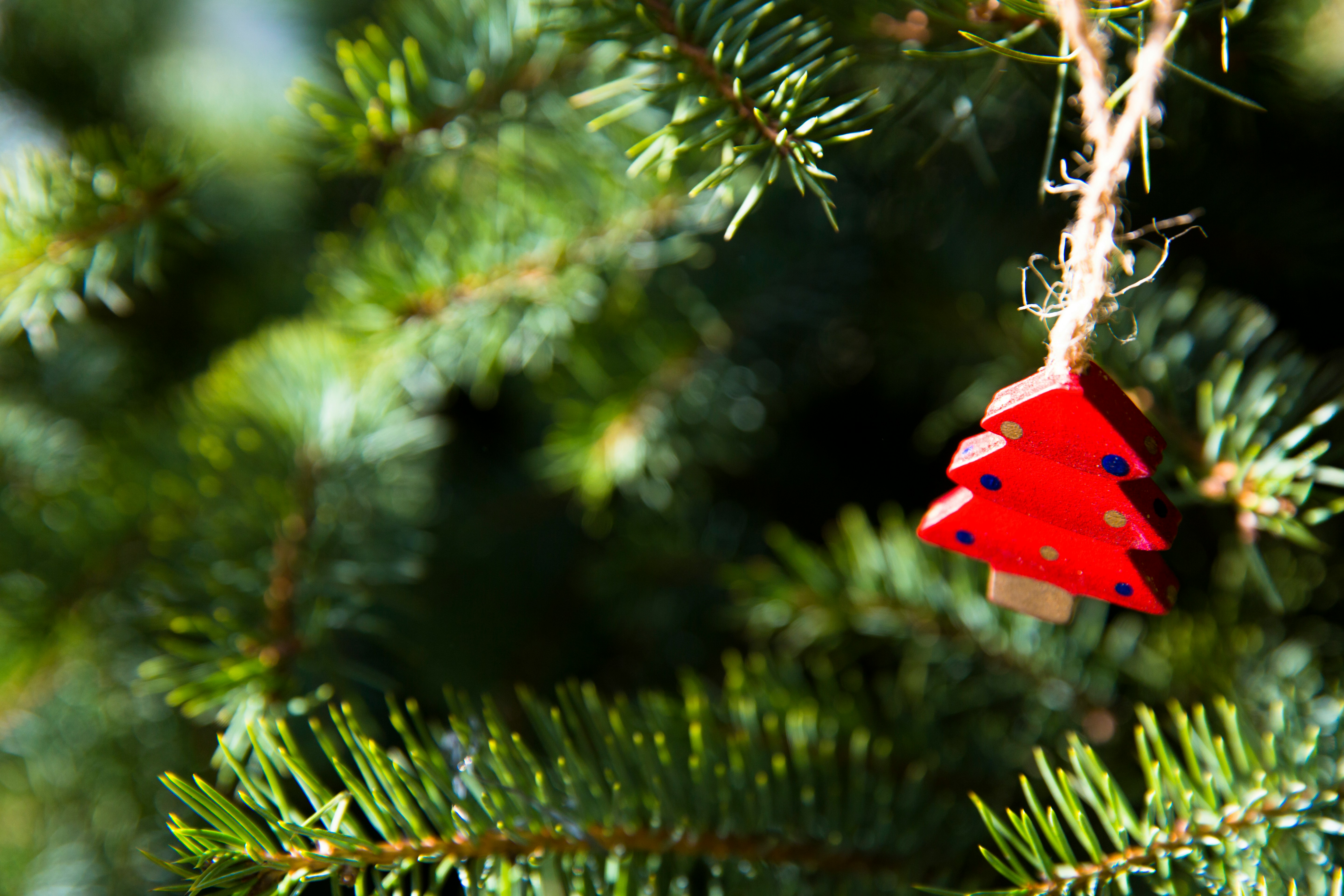 wooden ornament in Christmas tree